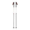 Black Diamond Expedition 2 Poles -Alpina Geschaft BD111589.2