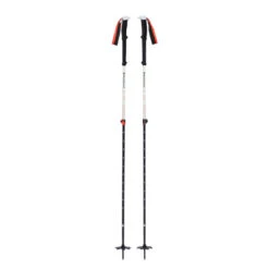 Black Diamond Expedition 2 Poles