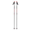 Black Diamond Traverse Ski Poles 2 Black Diamond Traverse Ski Poles -Alpina Geschaft BD111592.2